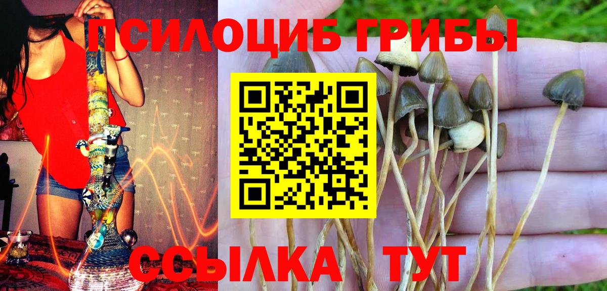 Псилоцибиновые грибы ЛСД Славгород