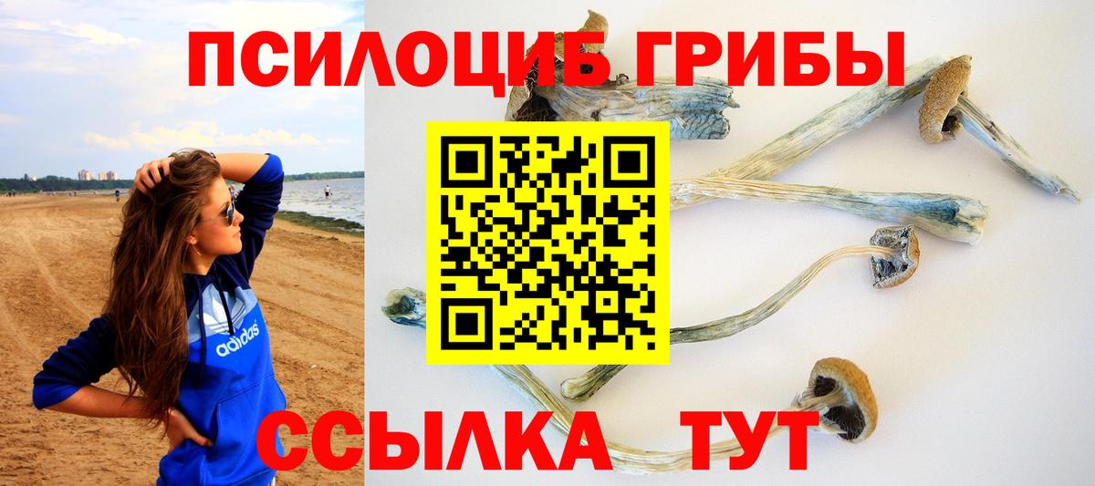 Славгород  Псилоцибиновые грибы GOLDEN TEACHER  Галлюциногенные грибы Psilocybe  купить наркотик  Вход с VPN 